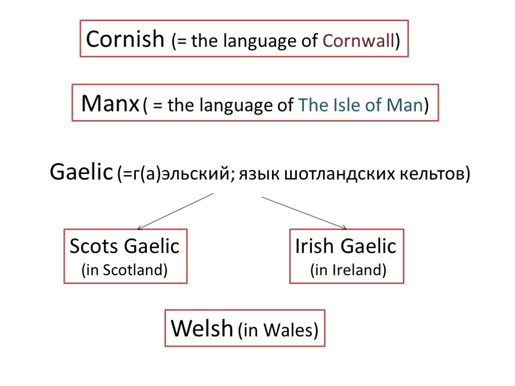 Cornish (= the language of Cornwall) Manx ( = the language of The Isle